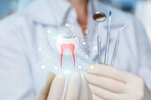 Trusted Gratton, VA  Holistic Dental Services Experts
